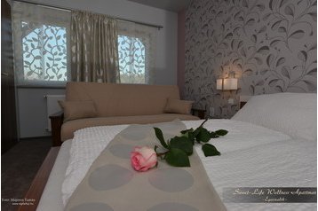 Madjarska Privát Egerszalók, Eksterijer